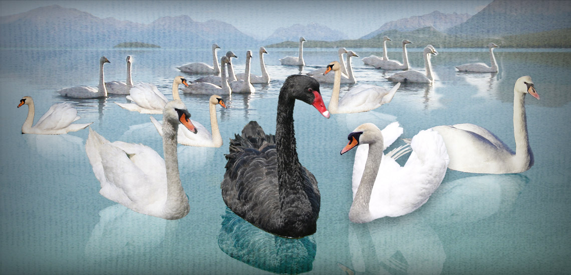 Can You Plan for a Black Swan?